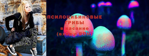 прущая мука Тобольск